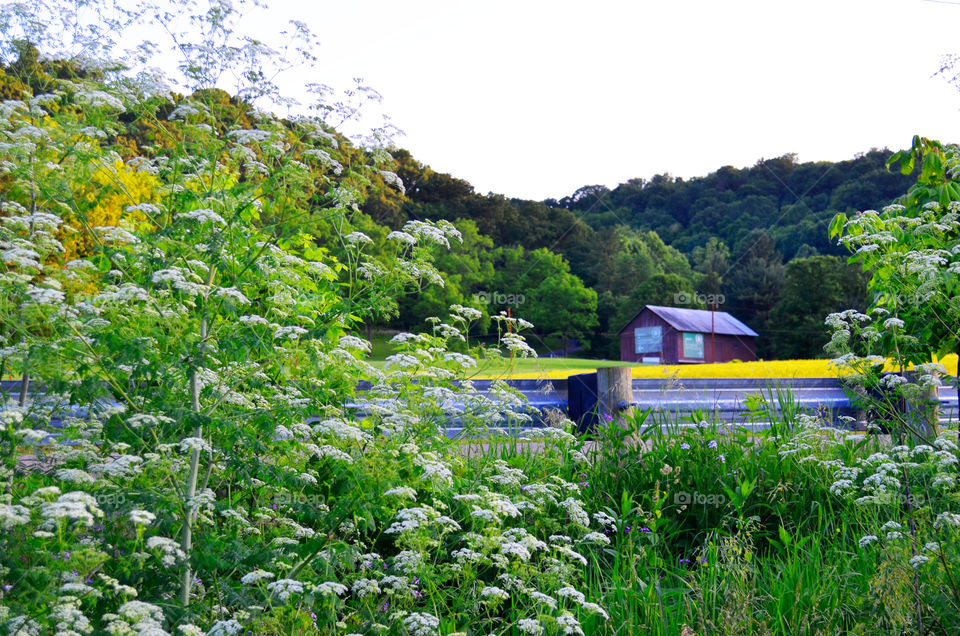 Take the Nostalgic Way Home ( Series )