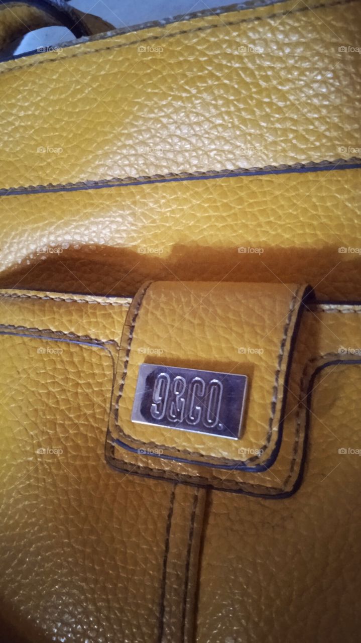 woman's purse