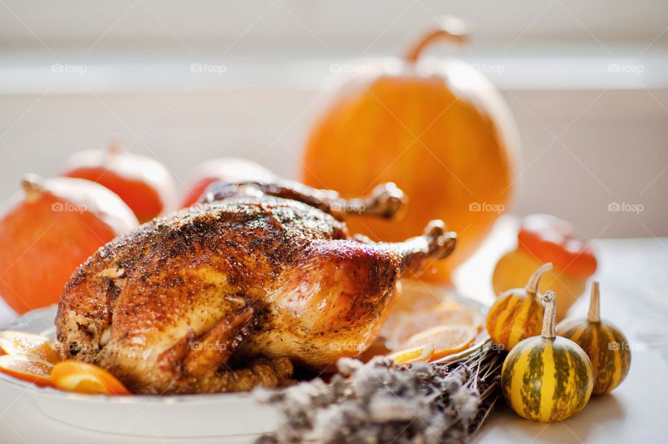 turkey, pumpkin, Thanksgiving, chicken, grill, pumpkin, holiday,