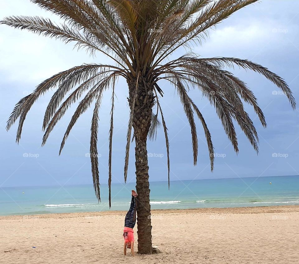 Beach#palm#sand#human#training#sky