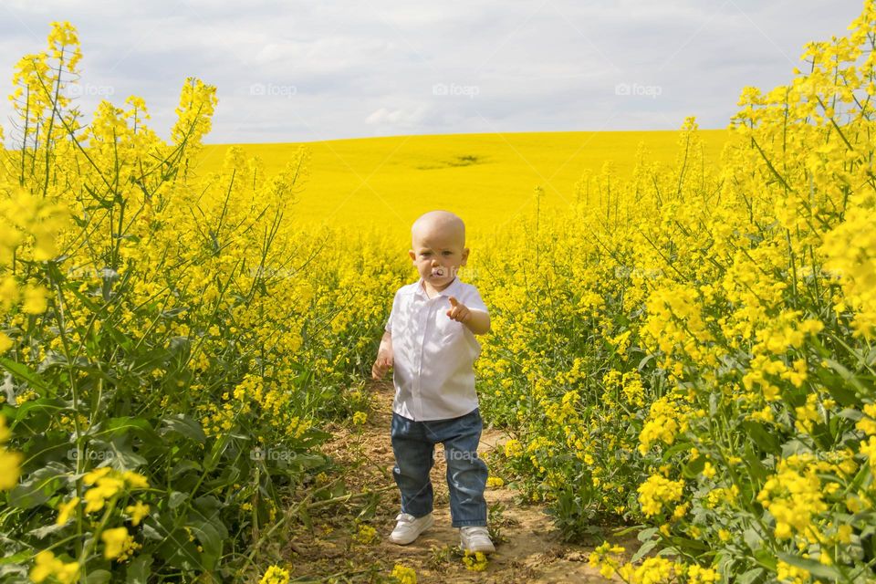 Spring flowering of trees and flowers on a sunny day in spring.
