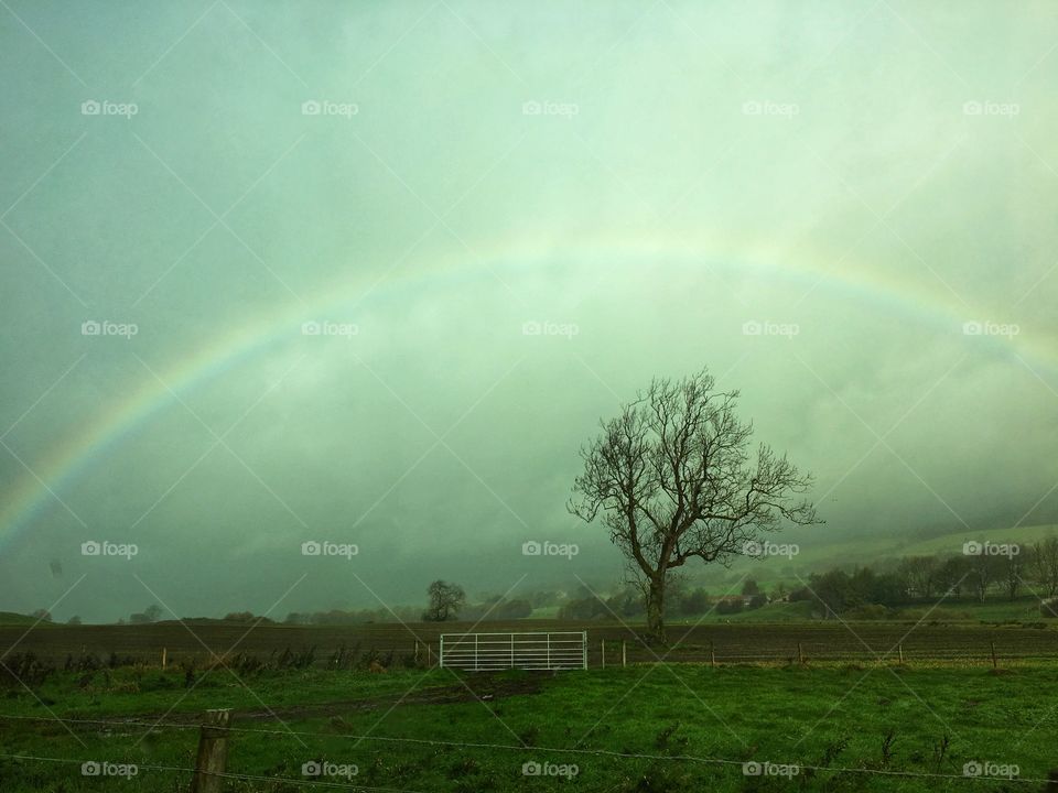 Rainbow In The Gloom