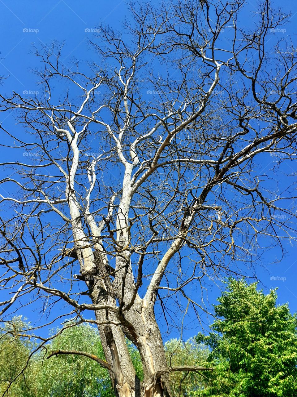 красивая природа