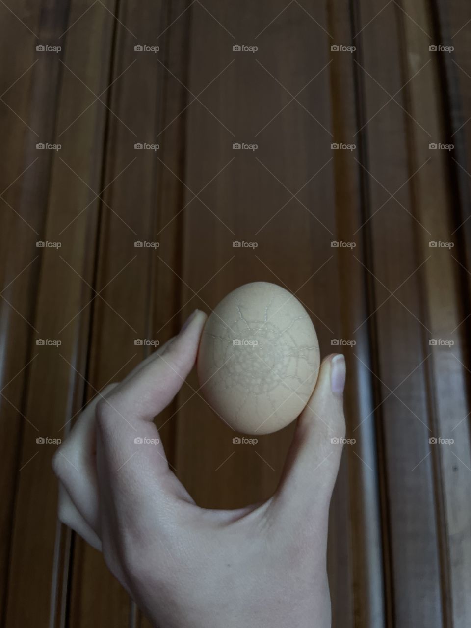 An oddly cracked egg 