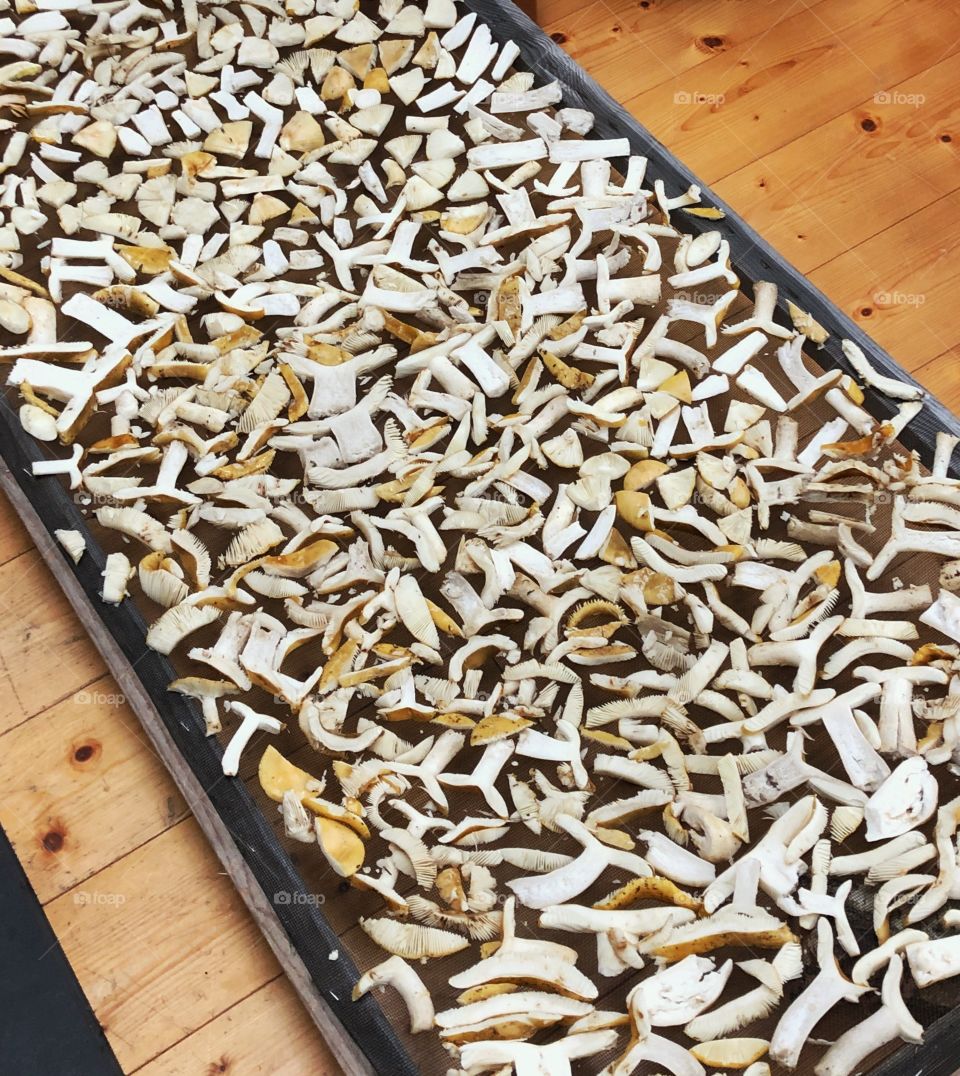Slices of mushrooms 