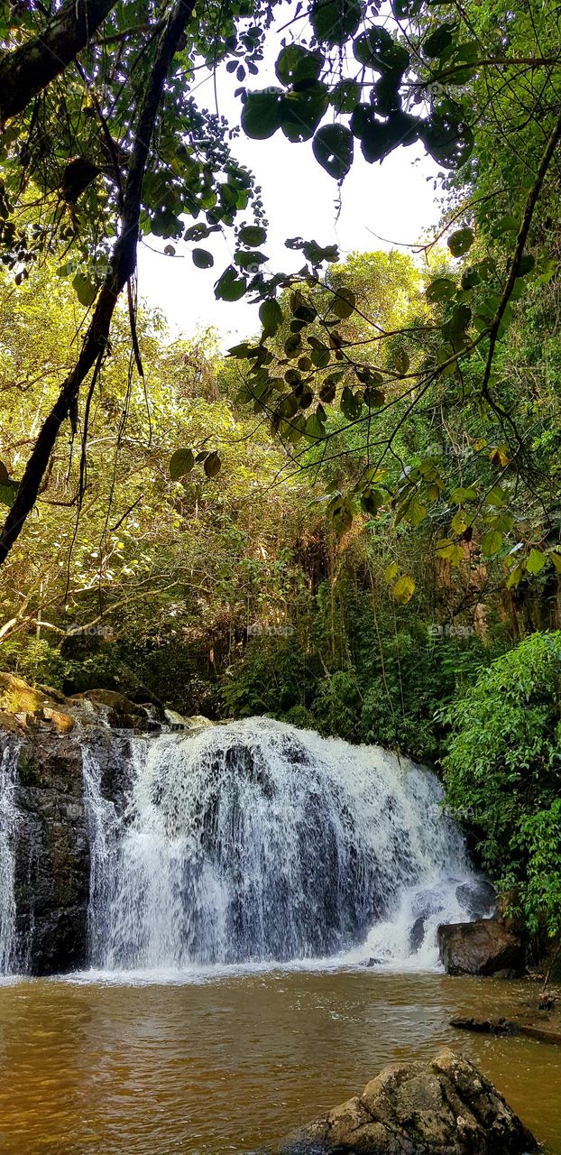 Cachoeria Morungaba - Serra do Japi