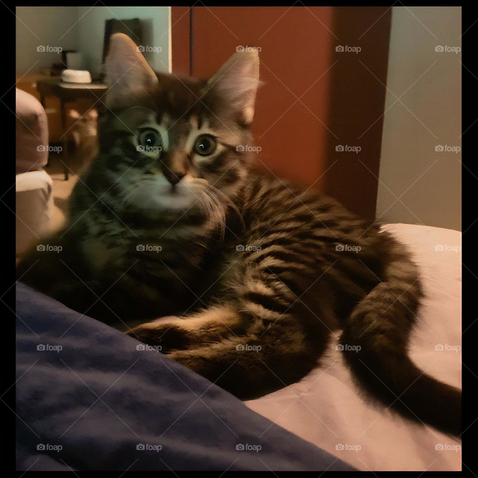 small moments of absolute happiness