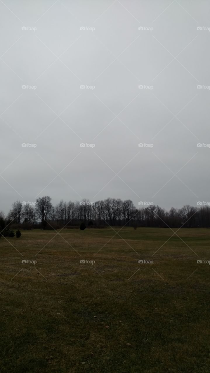 winter grey field