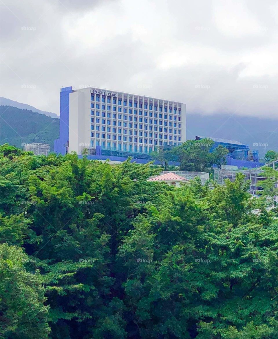 building surrounded by tree's