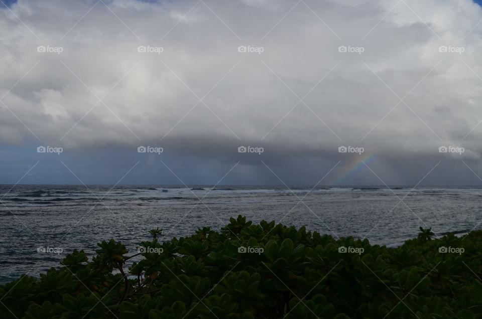 storm clouds with a beautiful rainbow rain over the ocean in tropical landscape