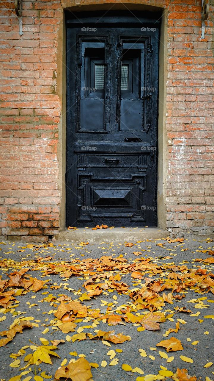 Autumn leaves near an old wooden door