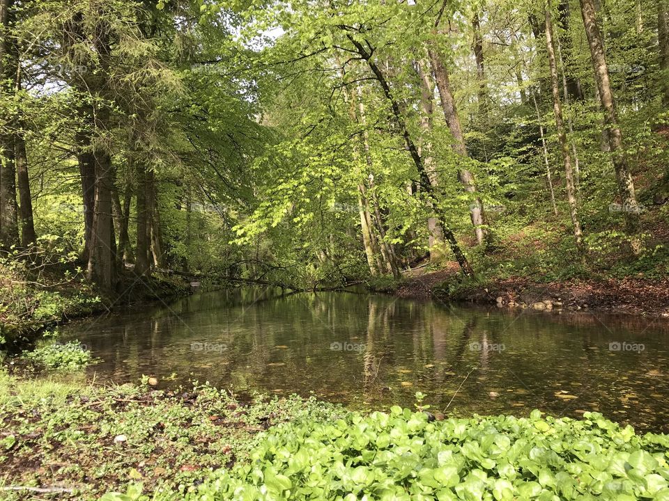 Steibachweiher 