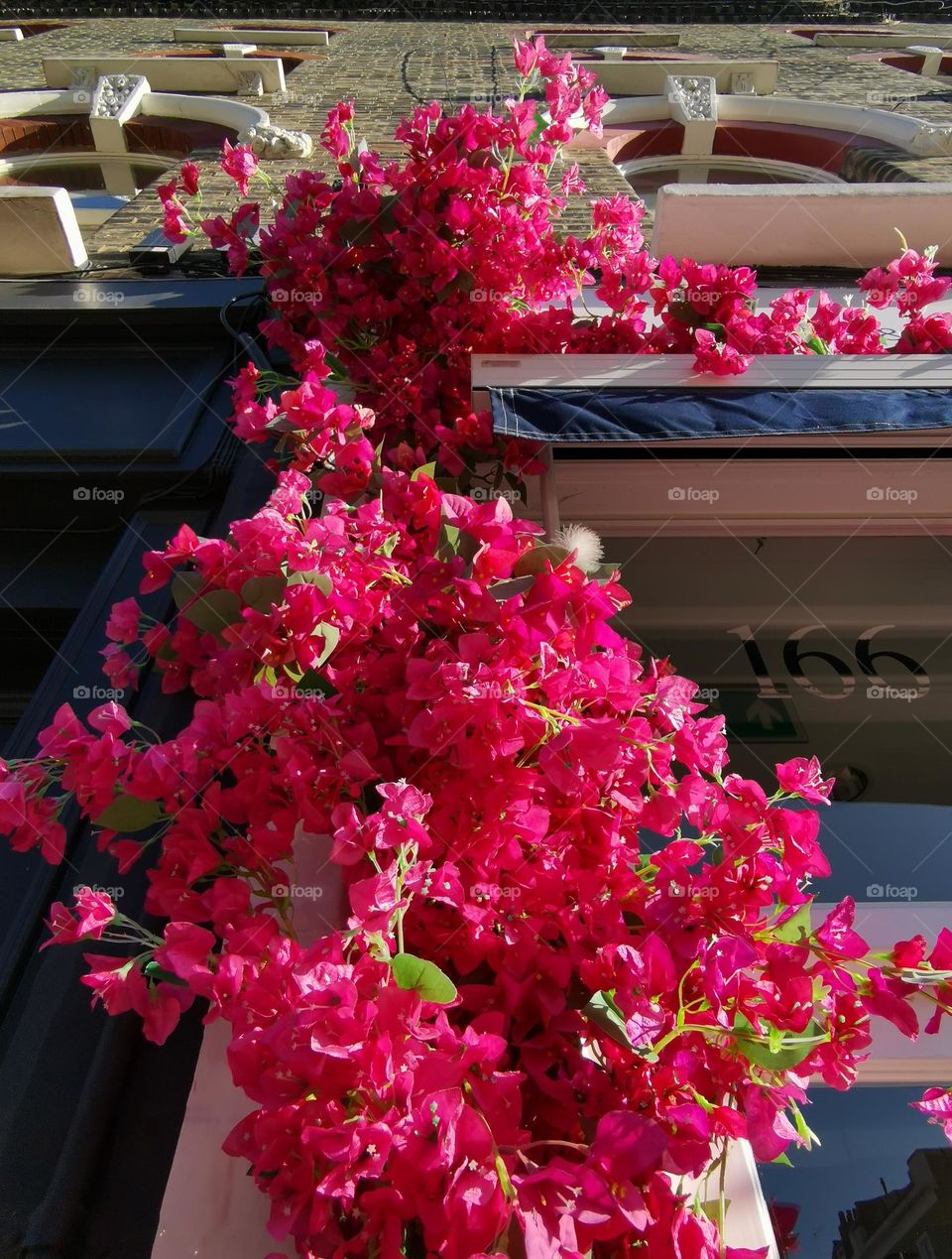 Unusual shooting angle. Shooting from below. Down up. Blooming composition, decoration on the building. From the ground up...