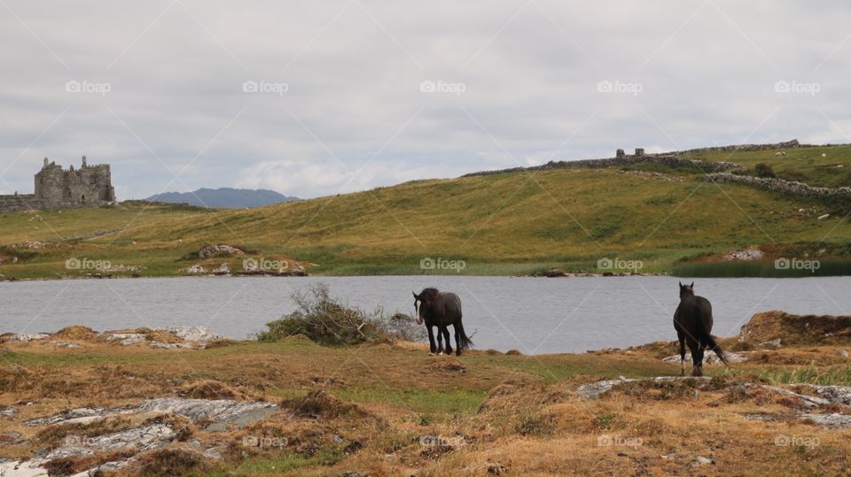 Connemara landscape, my dream - Ireland 2018