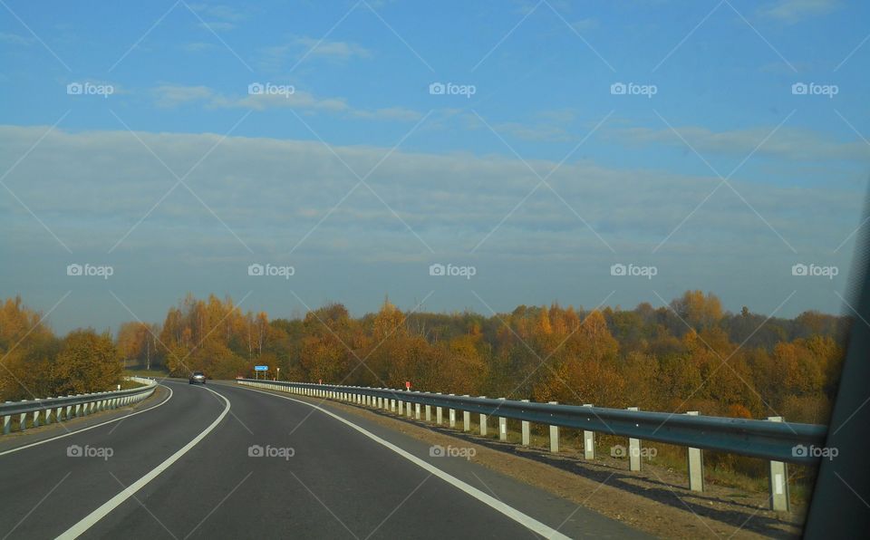 fall road