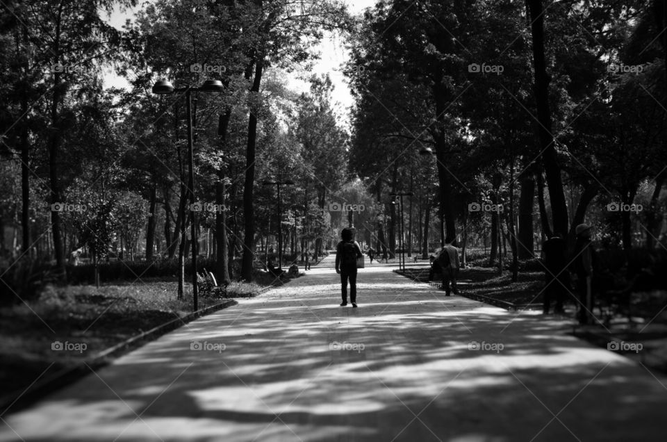 Walking through streets 