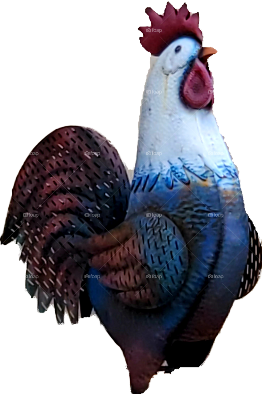 decorative rooster in Clover Valley, Giles County