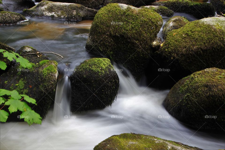 River Bovey