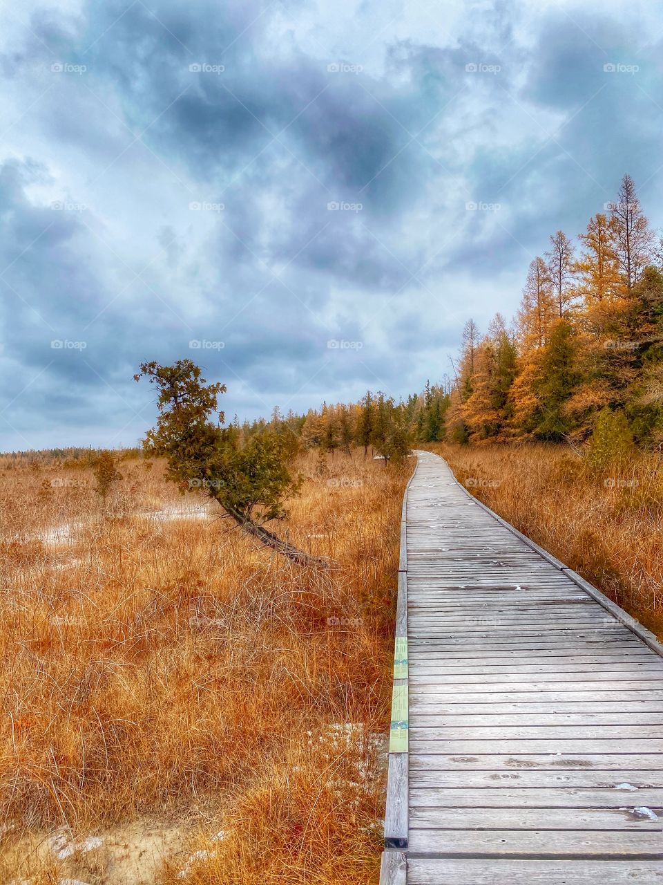 Nature trail