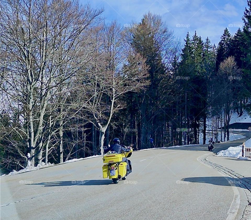 This tree lined country road leads to the small township of „Bayerischzell“ near the Alps in „Bavaria“, Germany. 2024. Hypnotic Productions