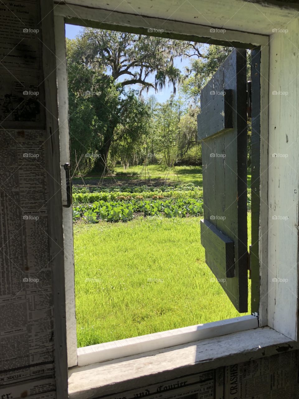 Slave quarters, Magnolia plantation, South Carolina