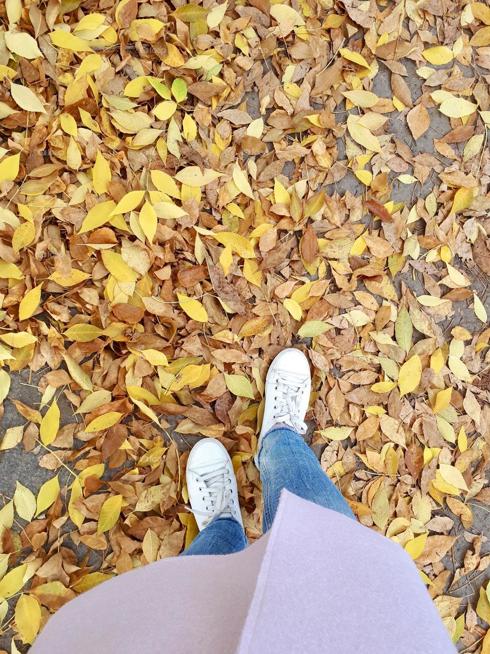 Woman’s legs in white shoes on the yellow autumn leaves background 