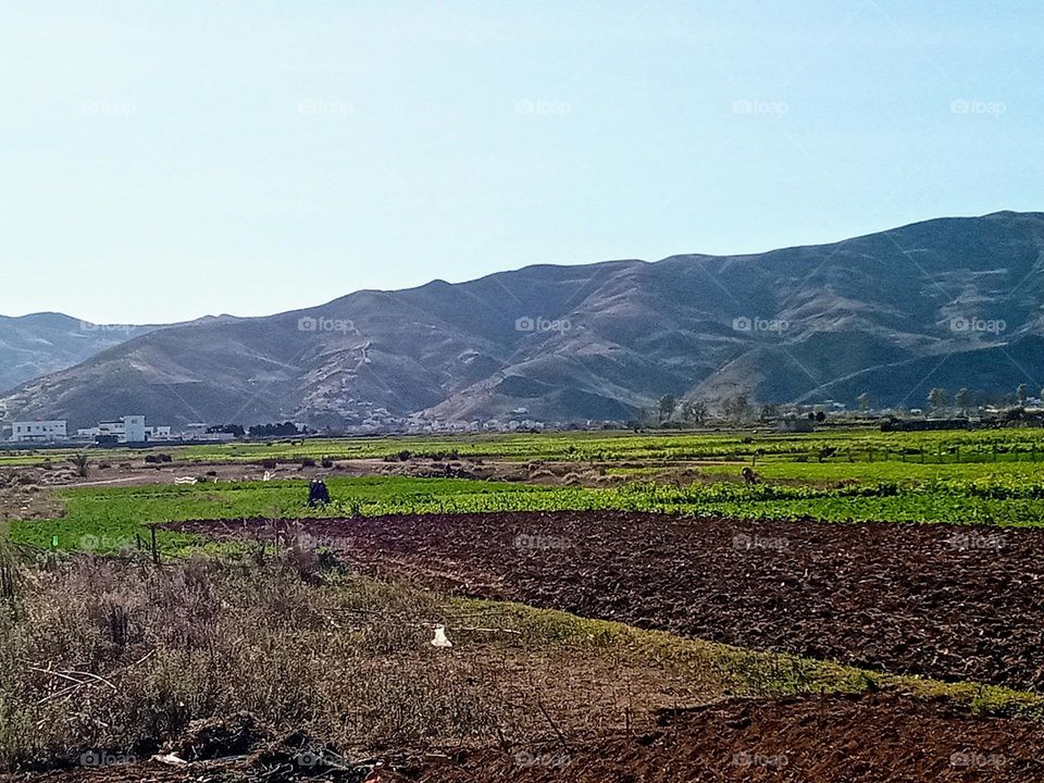 Agricultural lands