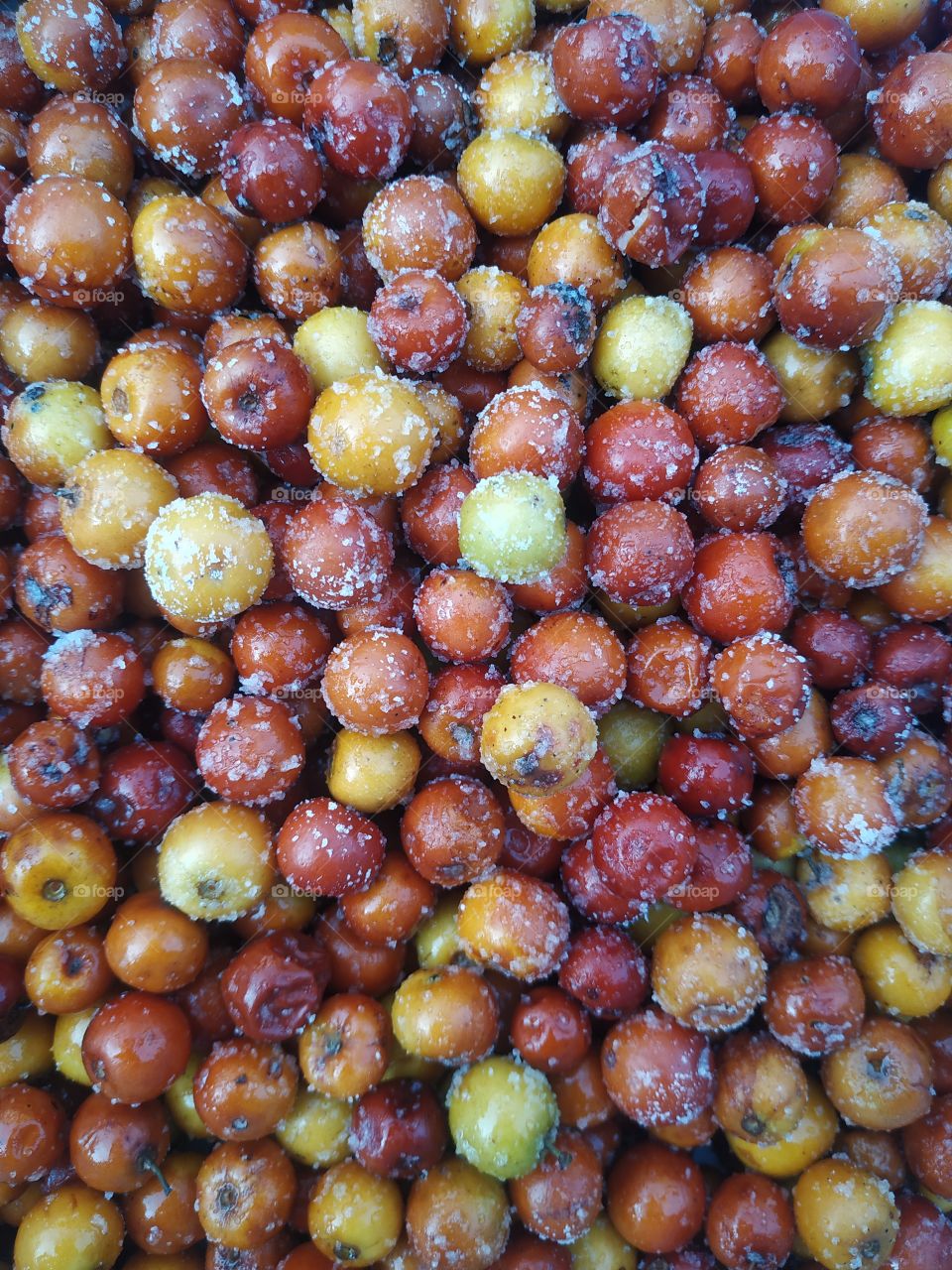 Blackberry fruit food natural sweet color yellow red mix