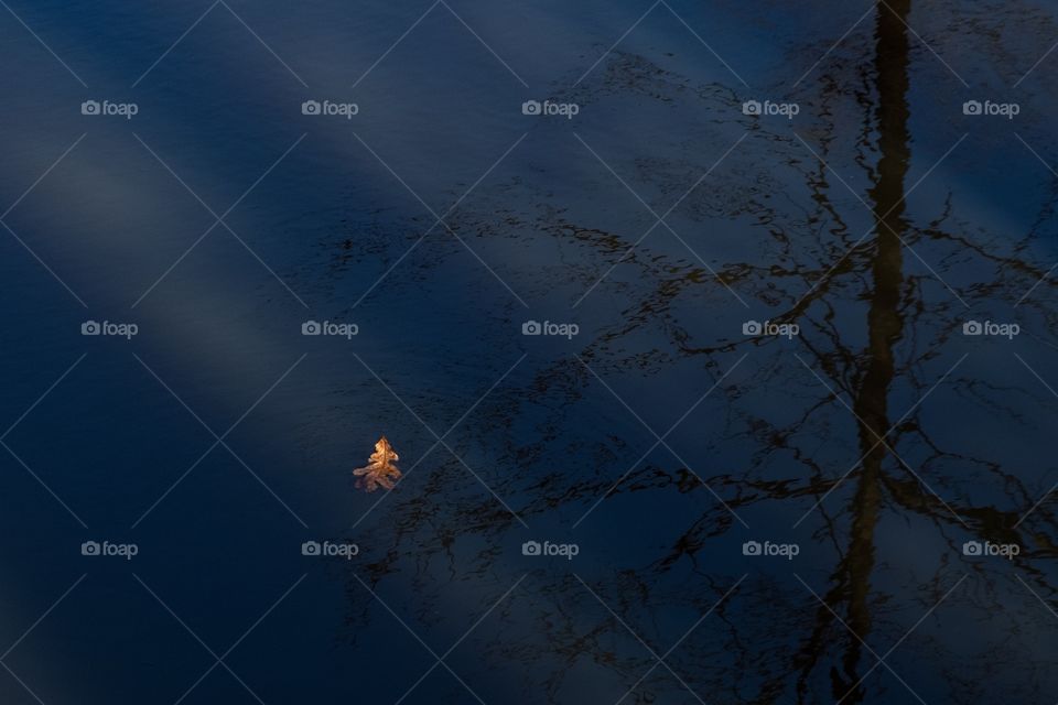 Foap, Art of Composition. A single leaf floats peacefully in a creek through the reflection of a tree. Could signify going with the flow, enjoying the ride, and destination unknown. Yates Mill County Park, Raleigh, North Carolina.