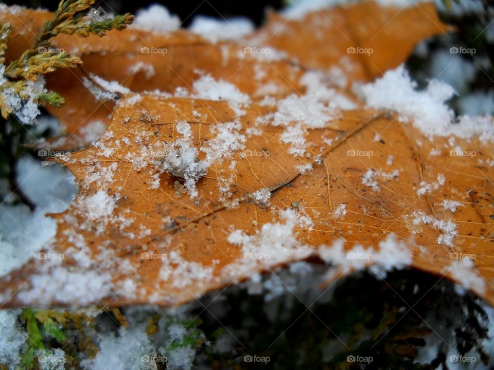 The turning point of winter.