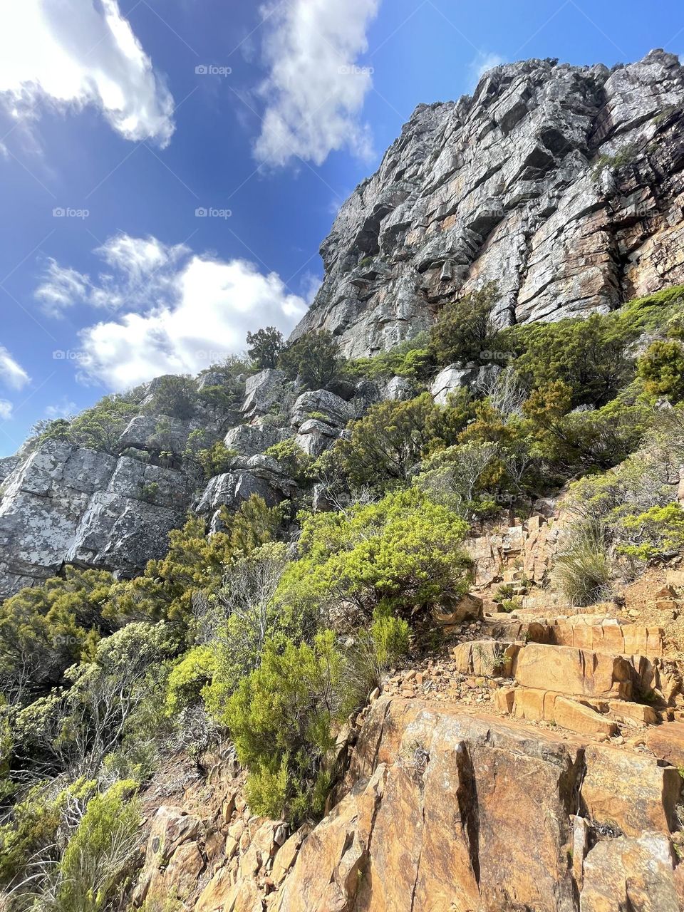 Side of the mountain. 