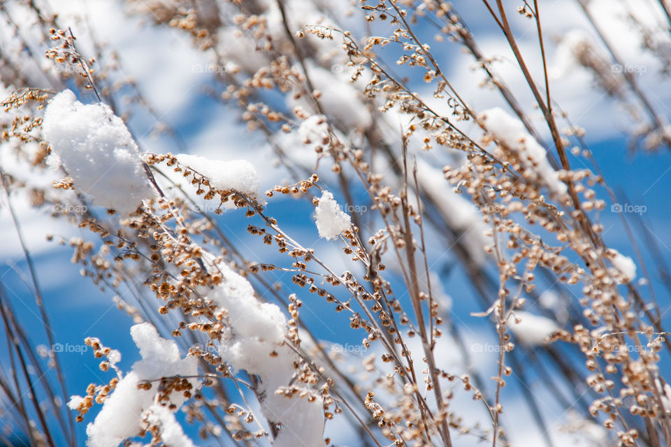 The signs of winter 