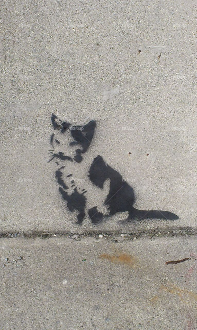 graphiti cat. in dayton oh