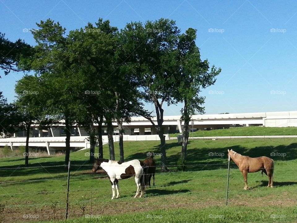 A highway runs through it