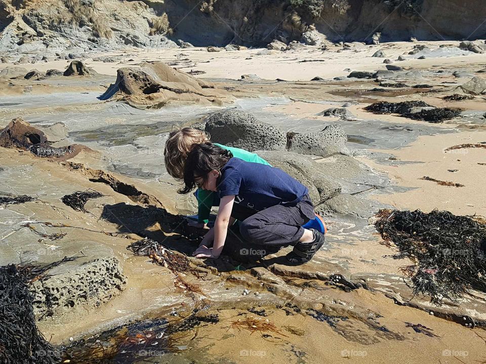 Kids at the Rockpools