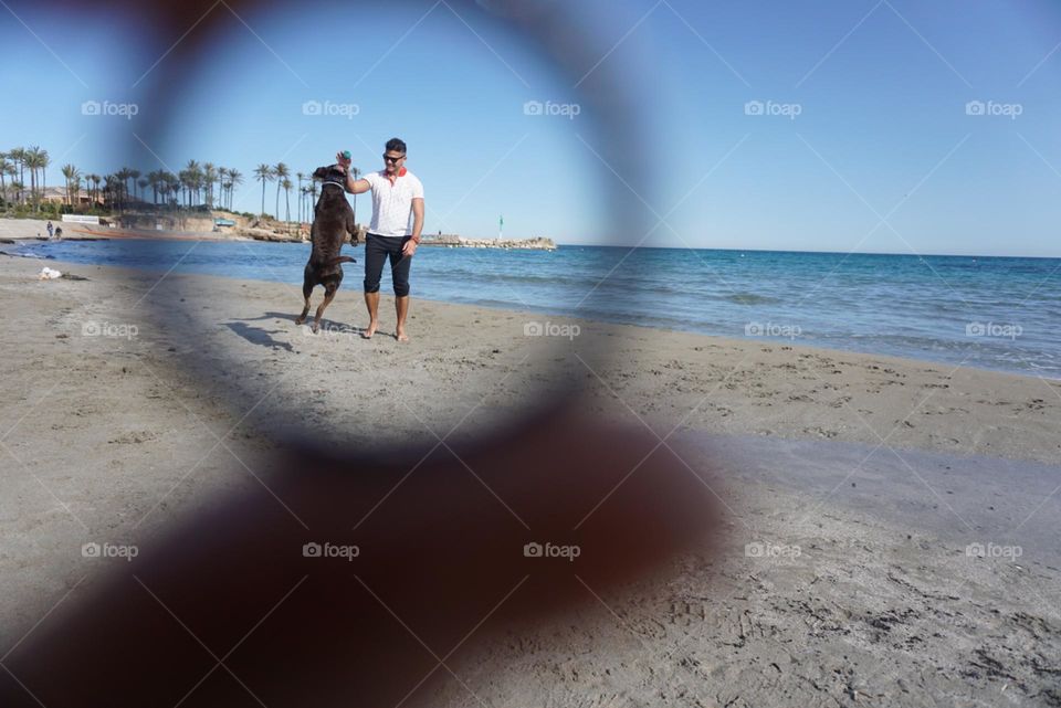 Beach#circles#sea#human#dog#activities#playing