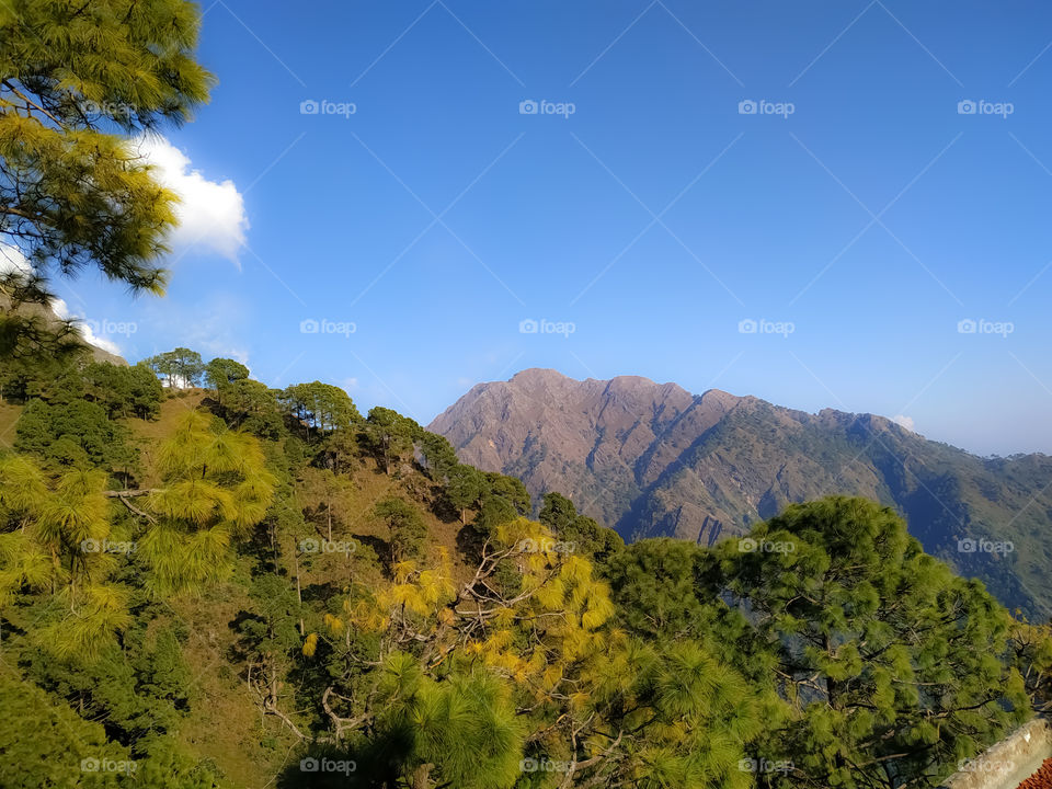 Natural image trees with sky and background hillside Katra Jammu India