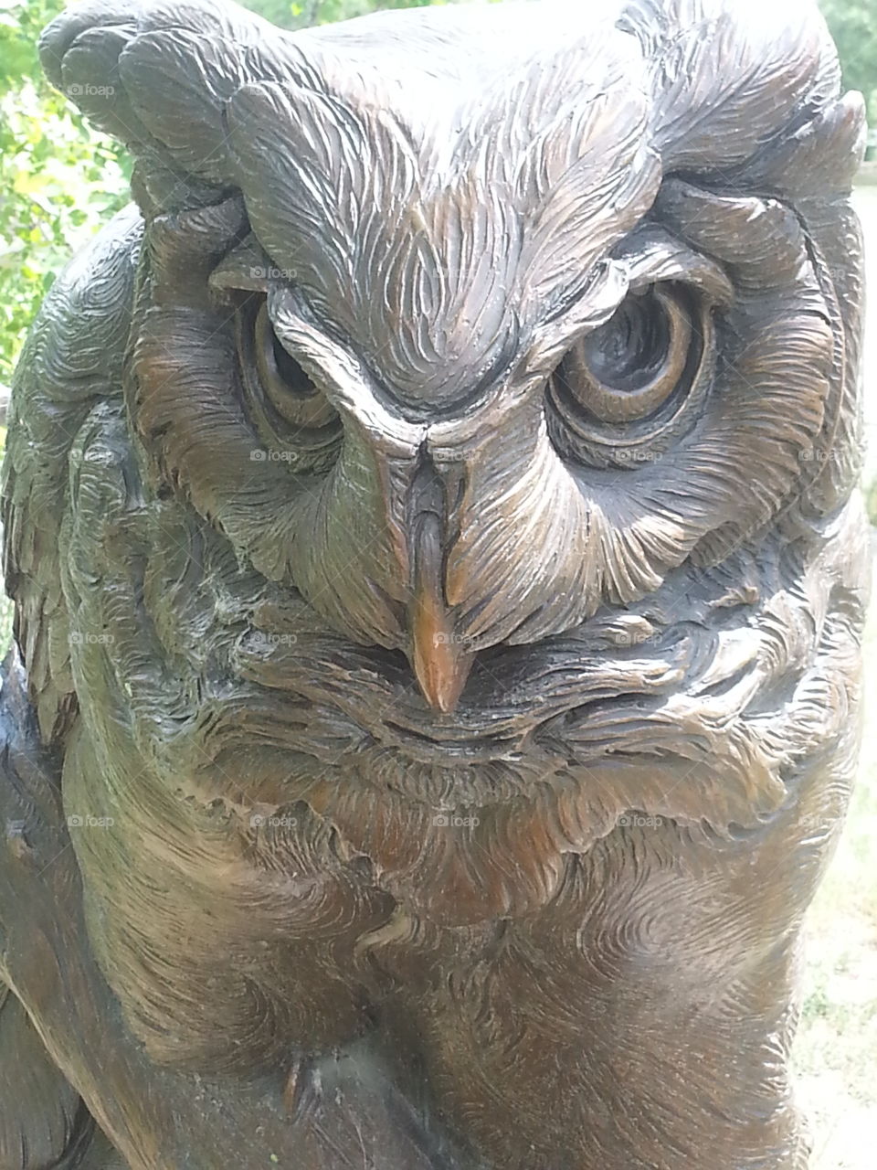 Front View Owl Sculpture - Who Are You?