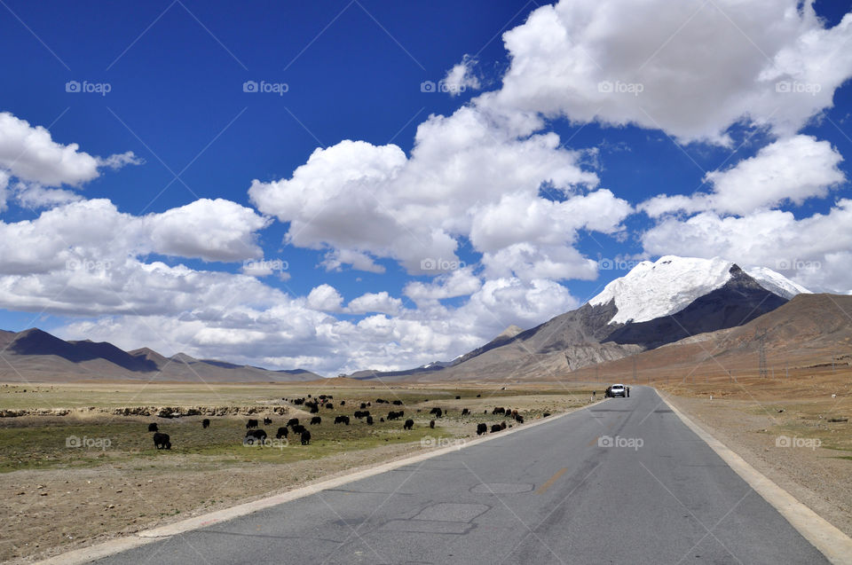 No Person, Travel, Landscape, Road, Sky