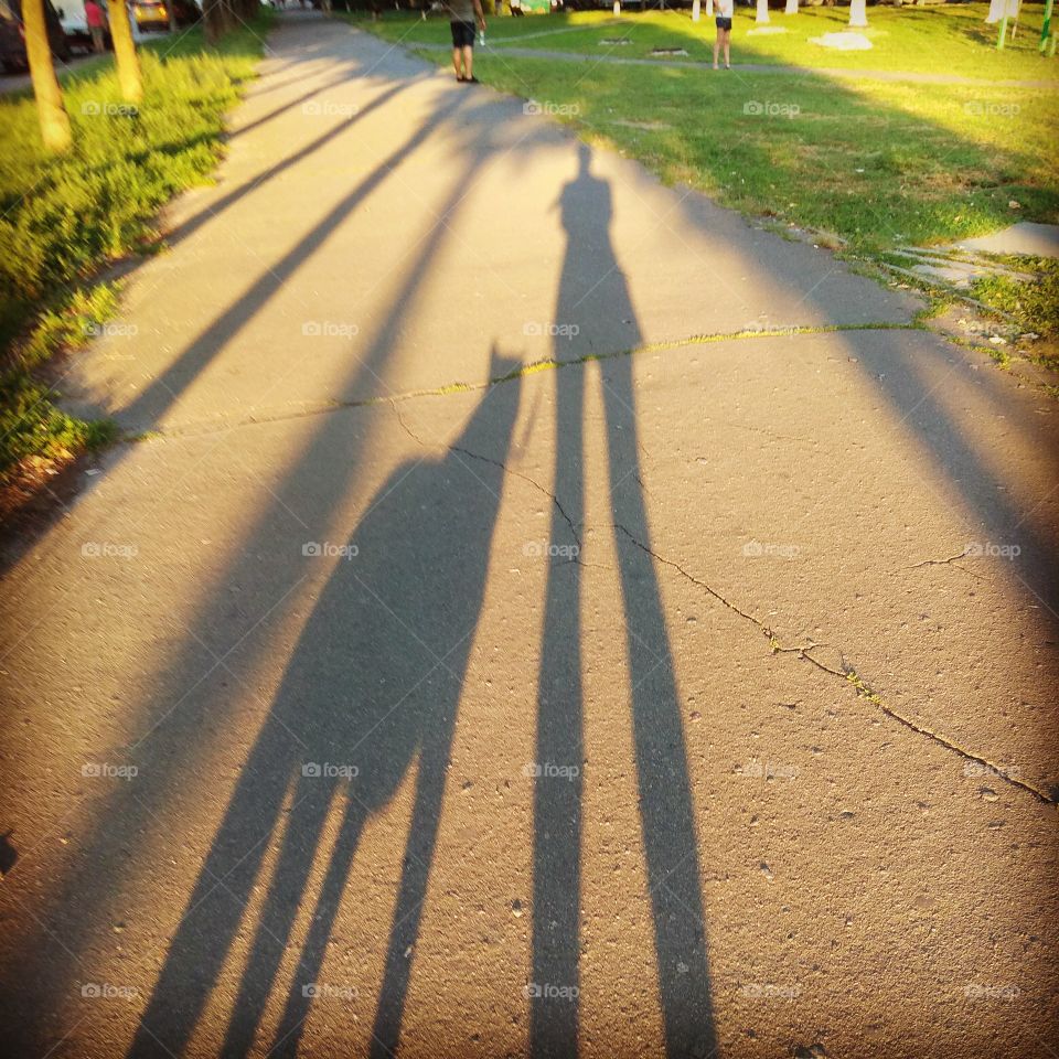 My walk. My dog. My shadow