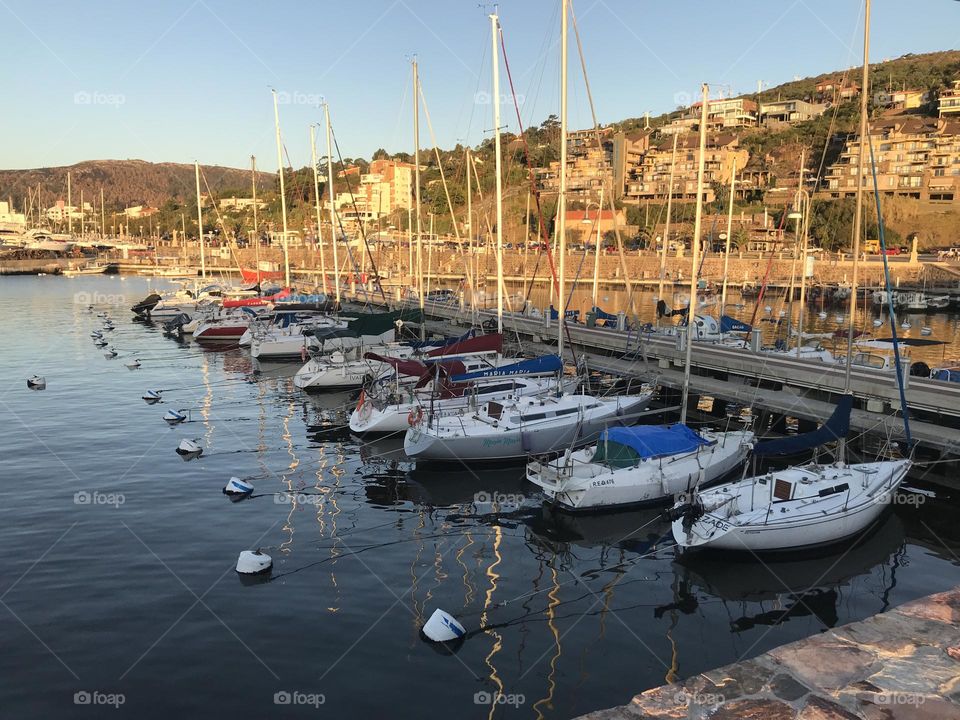 sailboats moored in the Port of Piriapolis, Uruguay