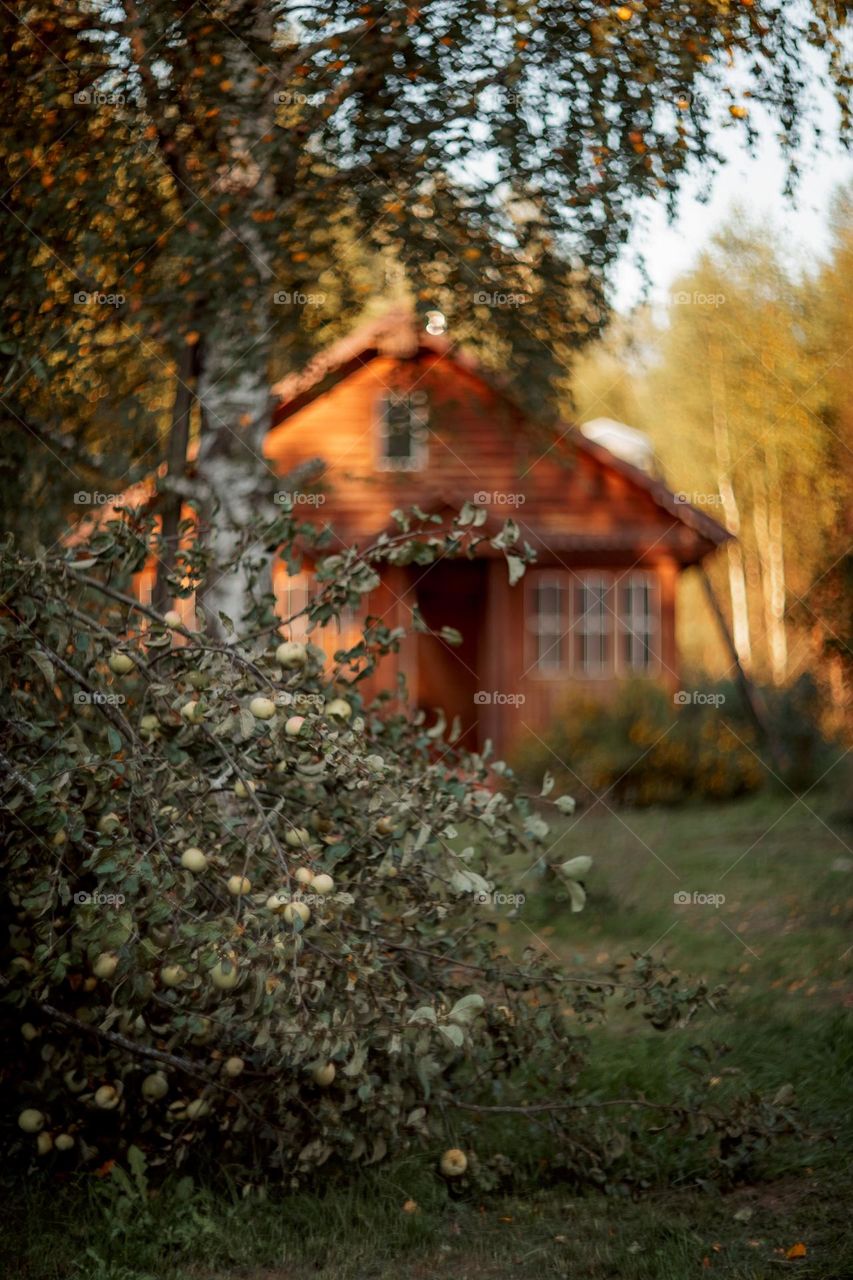 Summer countryside landscape with wooden house