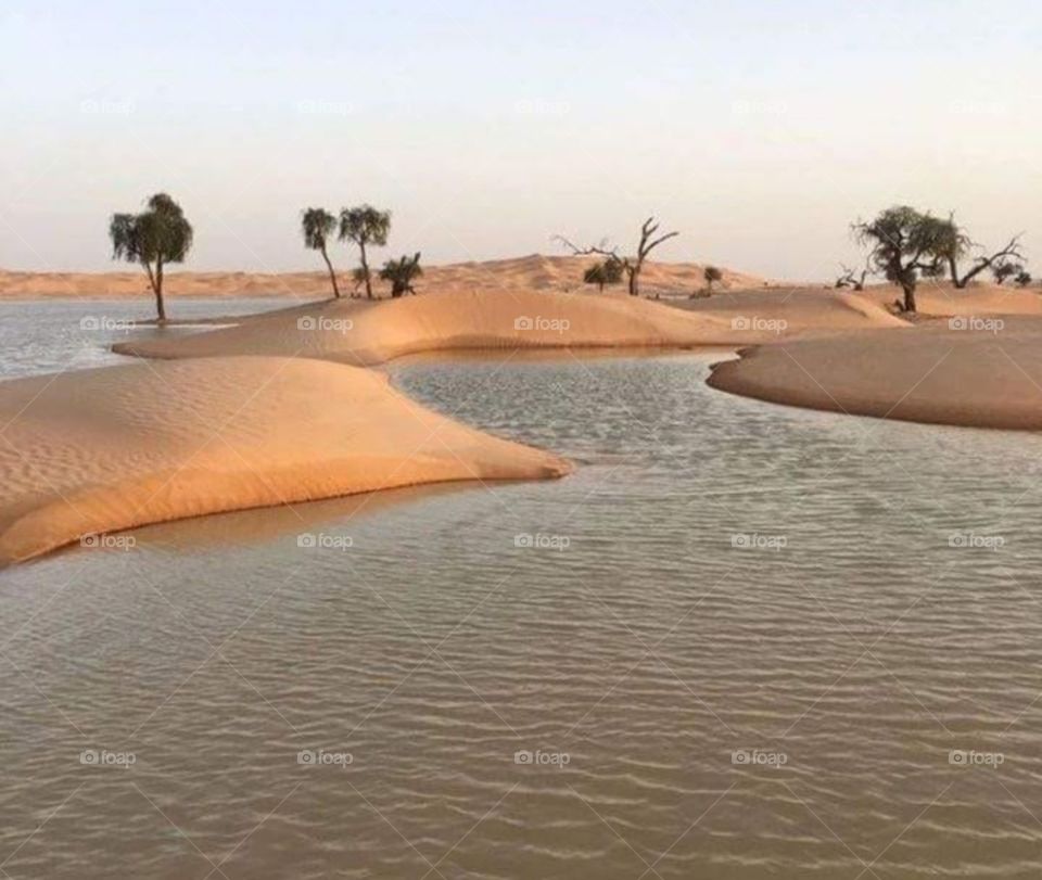 Oasis in the desert