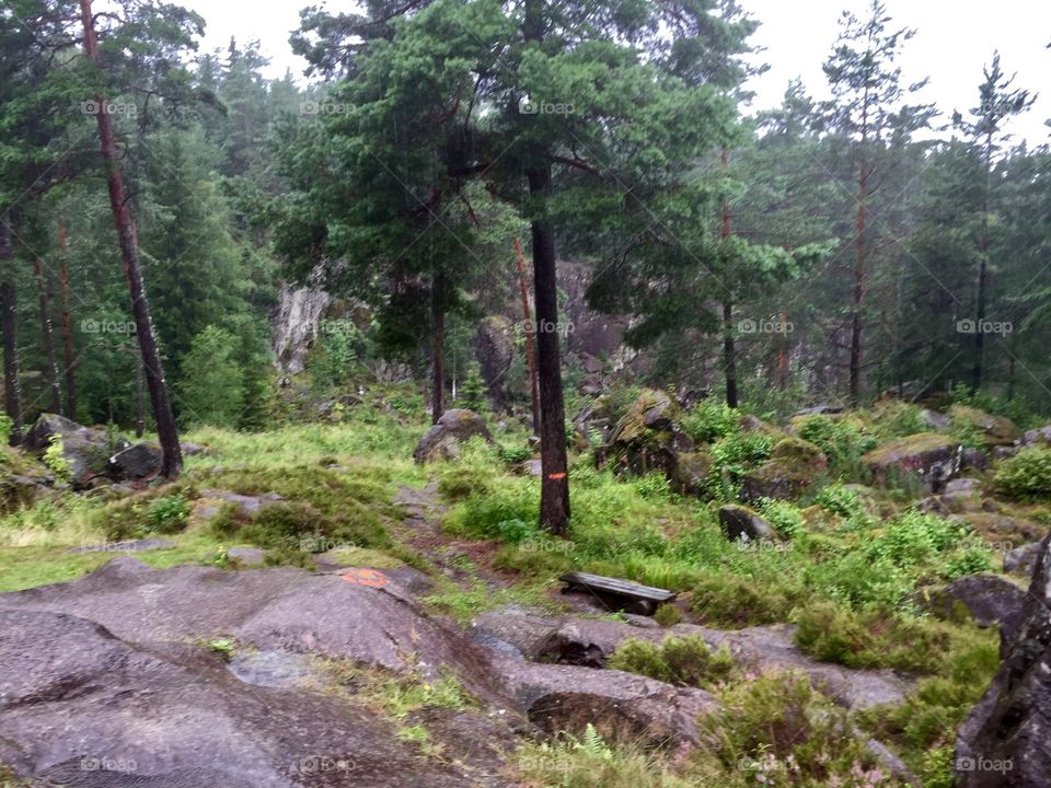 My nature- my sweden