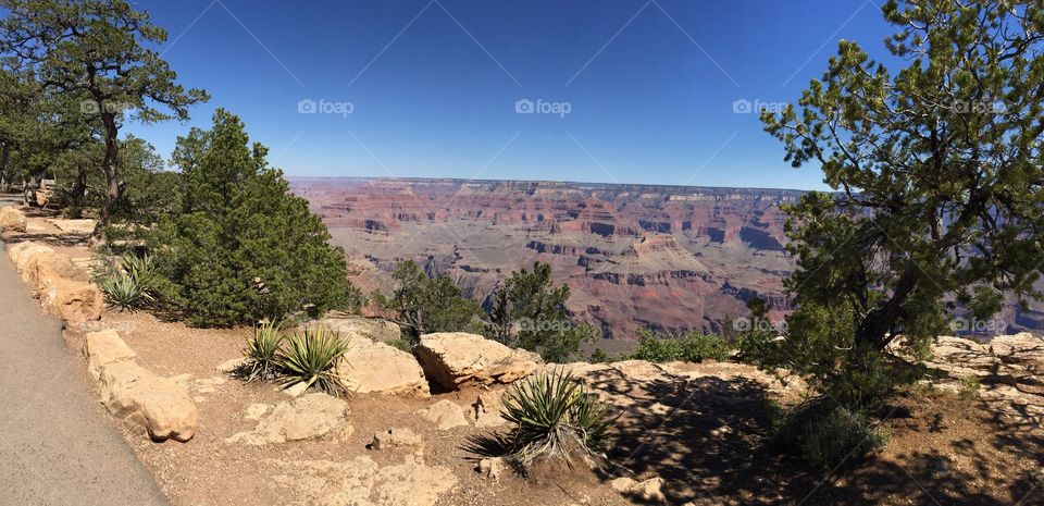 Grand Canyon . South rim 