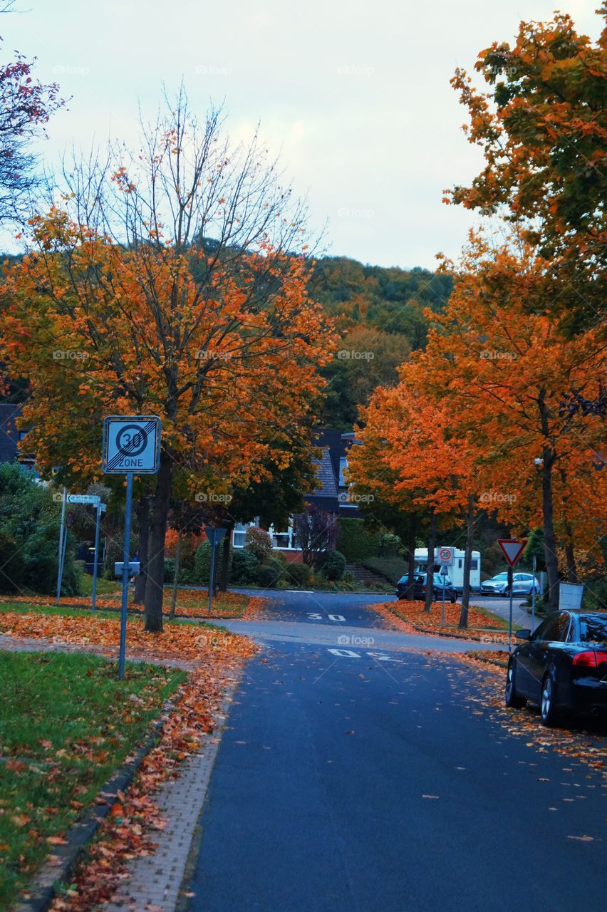 Fall Street