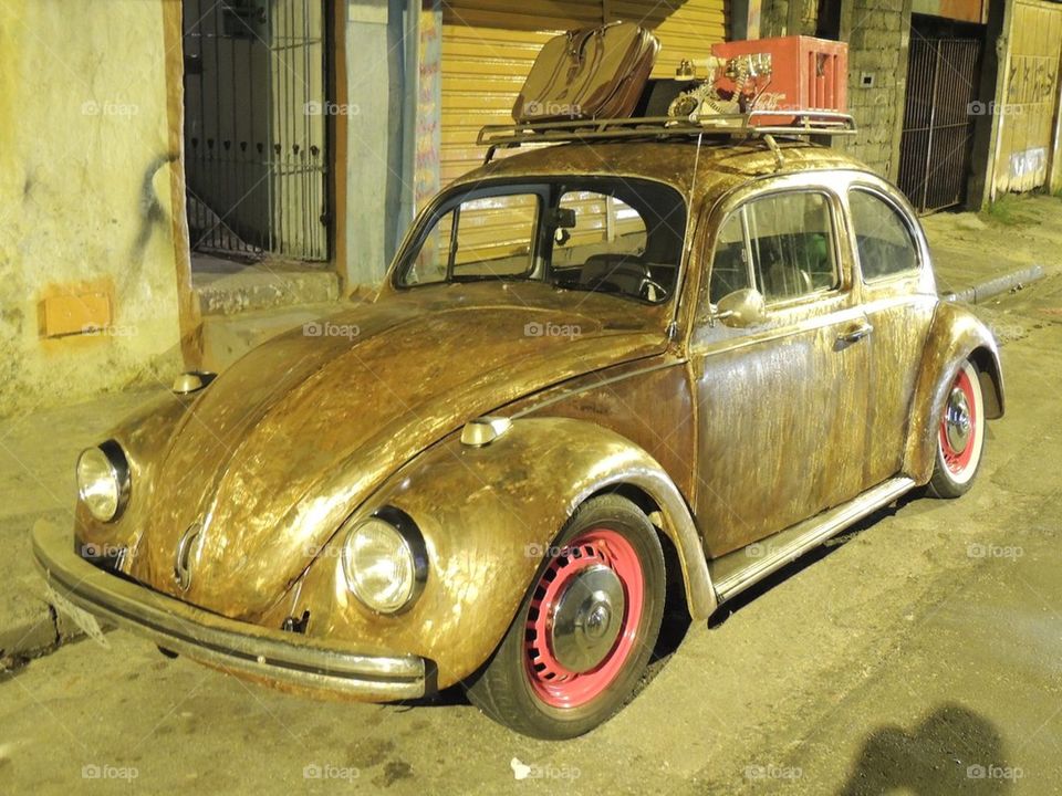 Golden Beetle