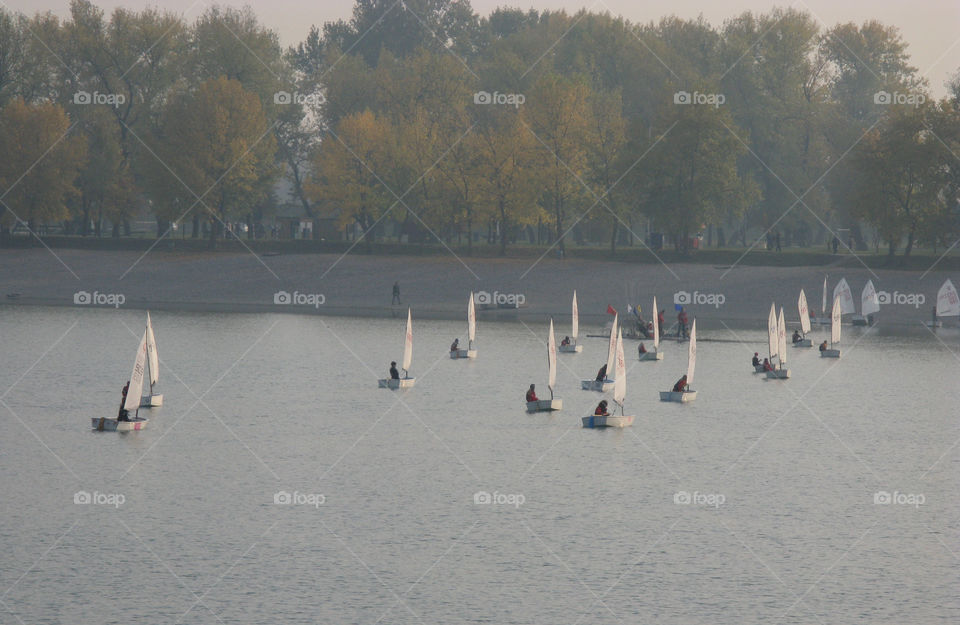 Sails. Autumn race on the lake Jarun, Zagreb, Croatia.