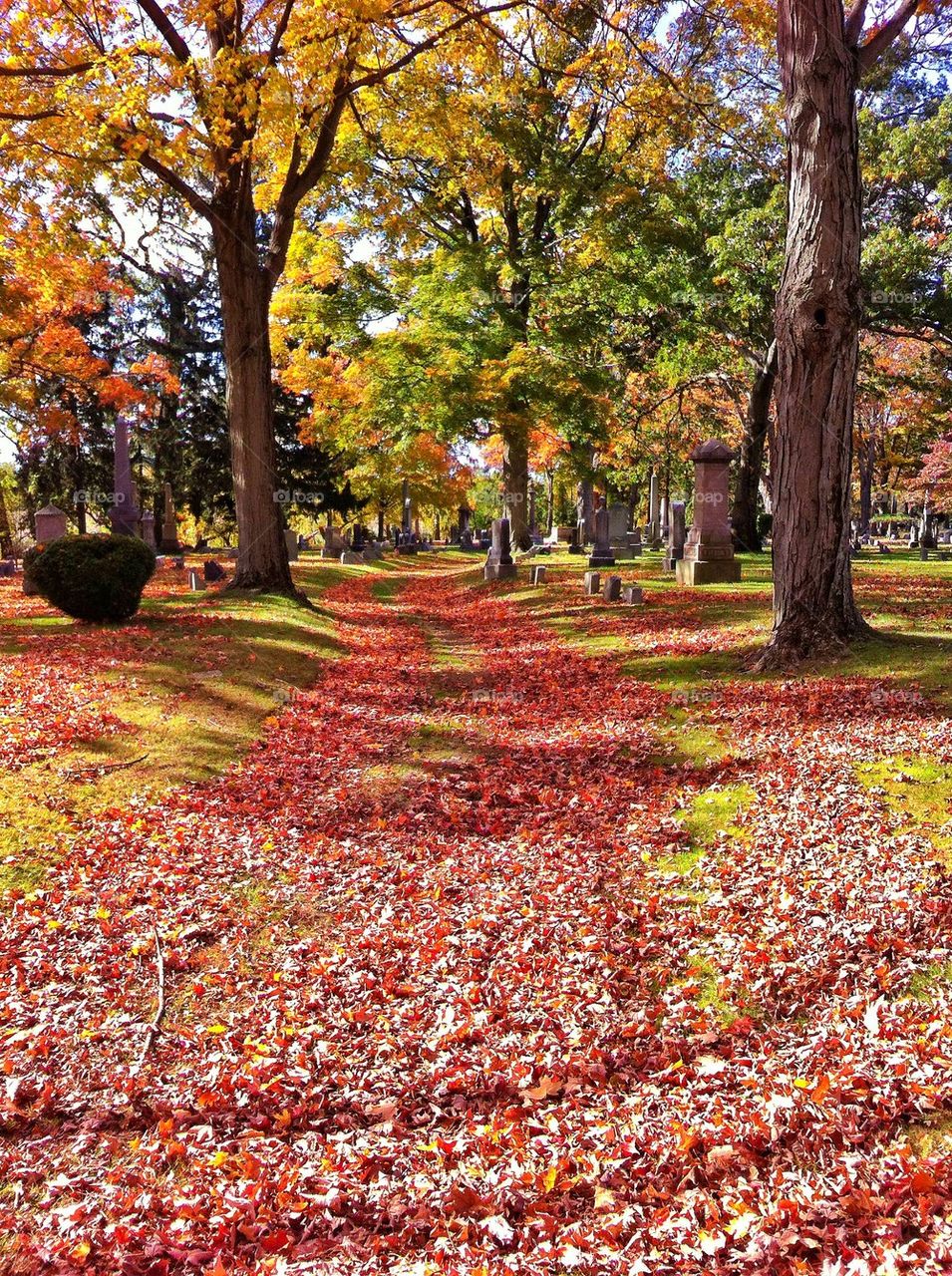 Mountain Grove Cemetery