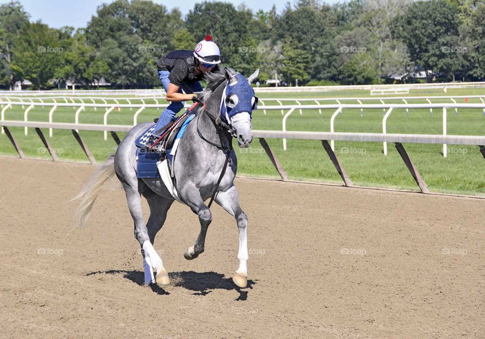 zazzle.com/fleetphoto at Saratoga